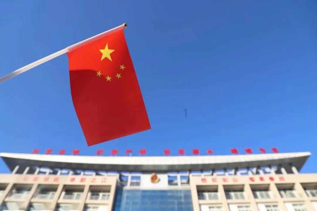 奔跑的兔子